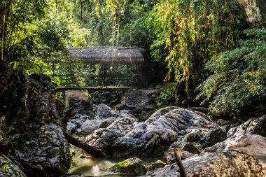 Catarata yakınlarındaki yaya köprüsü Santa Carmen şelalesi Tingo Maria, Peru yakınlarında.