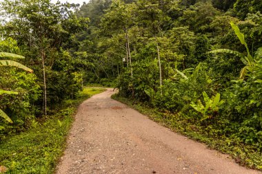 Pozuzo nehri vadisinde Codo de Pozuzo ve Pozuzo arasındaki asfaltsız 5NA yolu.