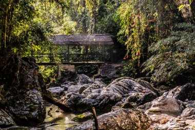 Catarata yakınlarındaki yaya köprüsü Santa Carmen şelalesi Tingo Maria, Peru yakınlarında.