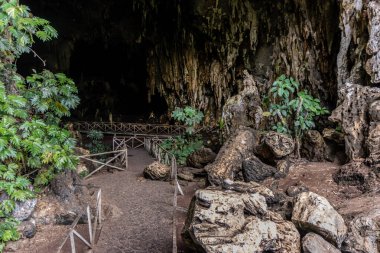 Tingo Maria kasabası yakınlarındaki Cueva de las Lechuzas (Baykuş Mağarası) manzarası, Peru