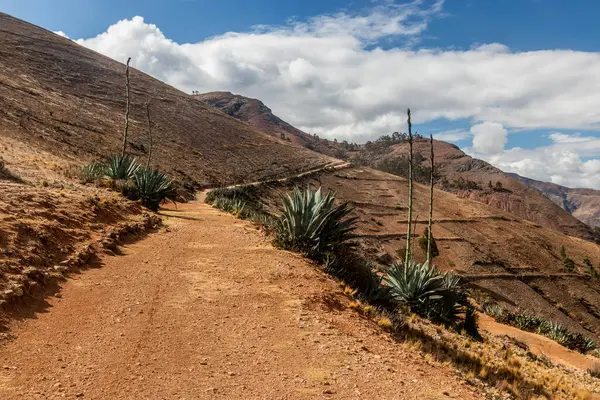 Tarma kasabası yakınlarındaki İnka yolu (Qhapaq Nan), Peru