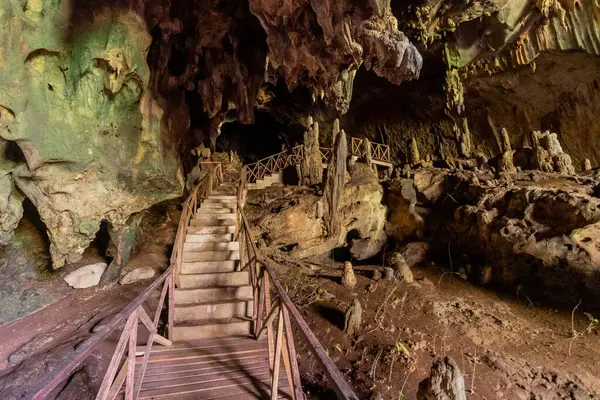 Tingo Maria kasabası yakınlarındaki Cueva de las Lechuzas 'ta (Baykuş Mağarası) sahil yolu, Peru
