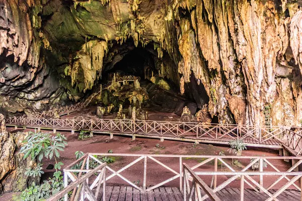 Tingo Maria kasabası yakınlarındaki Cueva de las Lechuzas 'ta (Baykuş Mağarası) sahil yolu, Peru