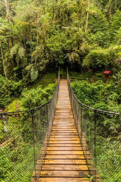 Yanachaga Chemillen Ulusal Parkı, Peru 'da asılı köprü.