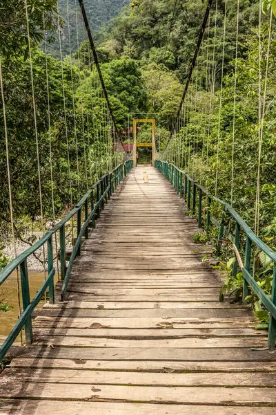 Catarata Gloriapata Şelalesi yakınlarındaki Huallaga nehri üzerinde asılı köprü Tingo Maria Ulusal Parkı, Peru