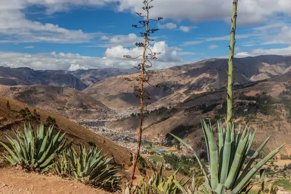 Agave bitkileri ve Tarma kasabası Peru 'da bir vadi.