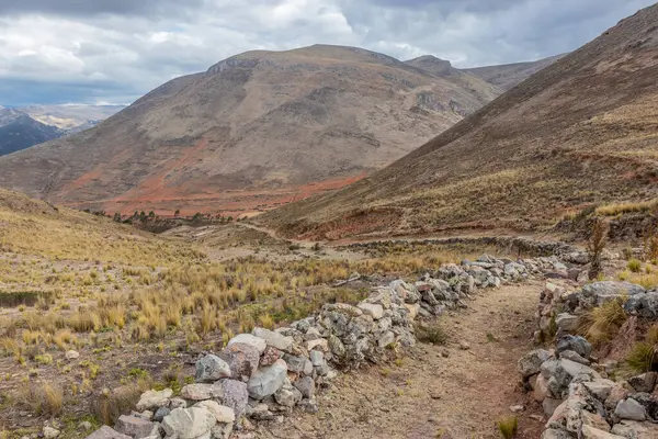 Tarma kasabası yakınlarındaki İnka yolu (Qhapaq Nan), Peru