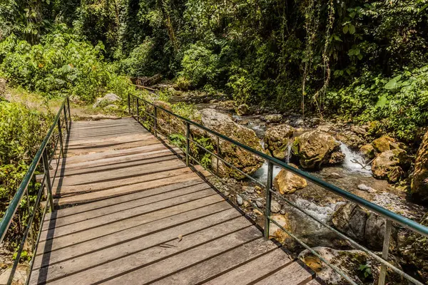 Tingo Maria Ulusal Parkı, Peru 'daki Catarata Gloriapata şelalesine giden yol üzerindeki köprü.