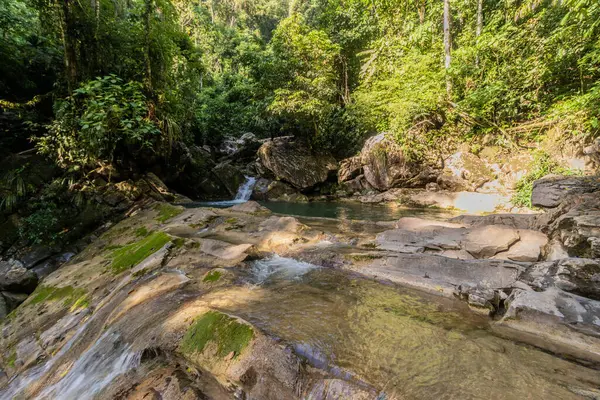Catarata Santa Carmen Şelalesi Tingo Maria, Peru yakınlarında