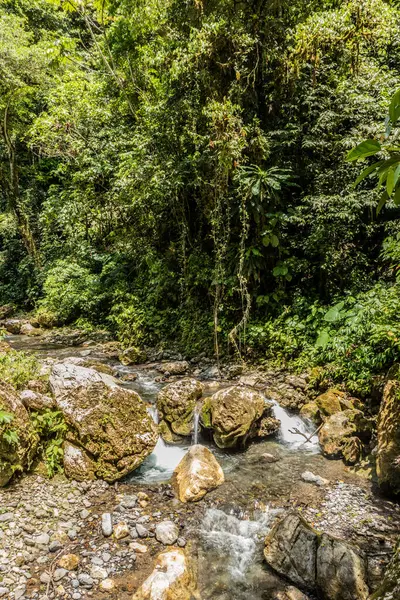Tingo Maria Ulusal Parkı, Peru 'daki Catarata Gloriapata Şelalesi' nin yanındaki derede.