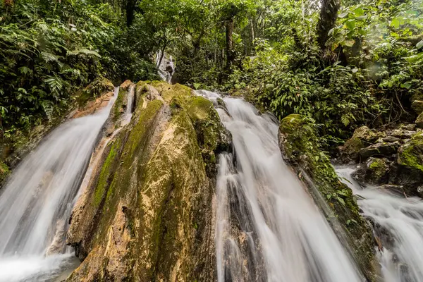 Catarata Honolulo Şelalesi Tingo Maria, Peru yakınlarında