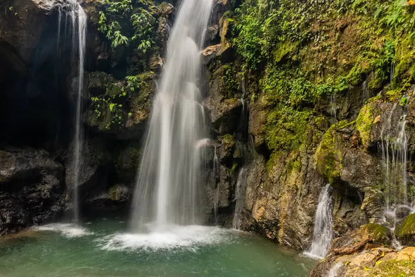 Catarata Gloriapata Şelalesi Tingo Maria Ulusal Parkı, Peru