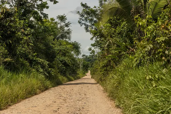 Santa Rosa de Yanayacu köyü yakınlarındaki Huanuco bölgesindeki Amazon ormanında asfaltsız yol, Peru