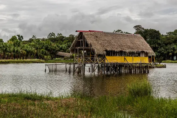 Tingo Maria City, Peru yakınlarındaki Laguna de los Milagros gölündeki kulübede.