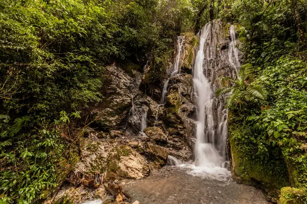 Catarata Honolulo Şelalesi Tingo Maria, Peru yakınlarında