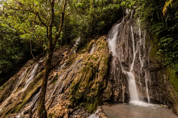 Catarata Honolulo Şelalesi Tingo Maria, Peru yakınlarında