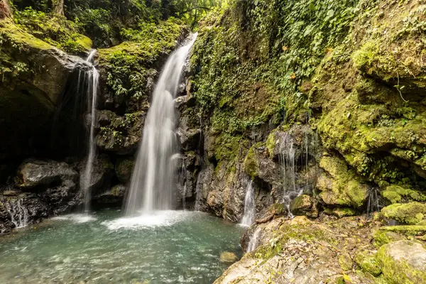 Catarata Gloriapata Şelalesi Tingo Maria Ulusal Parkı, Peru