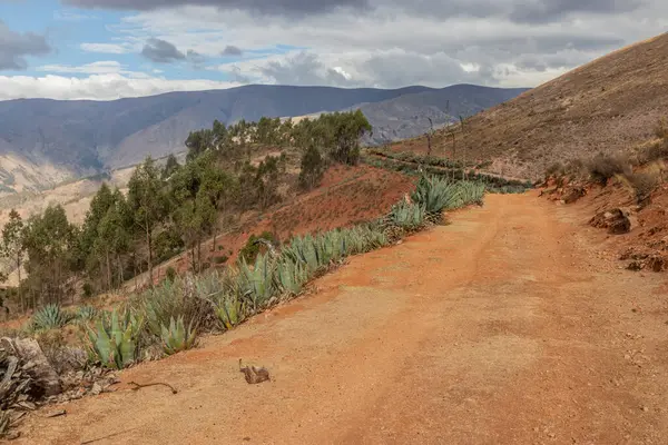 Tarma kasabası yakınlarındaki İnka yolu (Qhapaq Nan), Peru