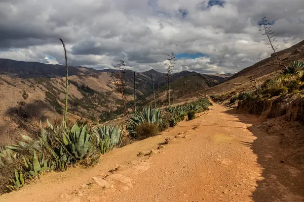 Tarma kasabası yakınlarındaki İnka yolu (Qhapaq Nan), Peru