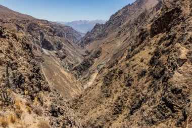 Colca Kanyonu, Peru görünümünü