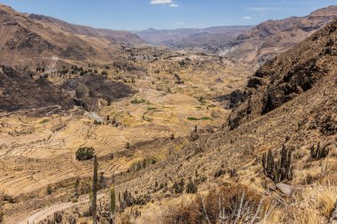 Chimpa (Chimba) kalesinden Colca kanyonu manzarası, Peru