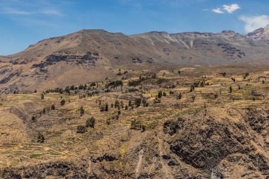 Colca kanyonundaki Pinchollo köyü, Peru
