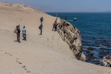 SAN FERNANDO, Peru - 28 Ekim 2022: Turistler San Fernando ulusal rezervini ziyaret etti, Peru