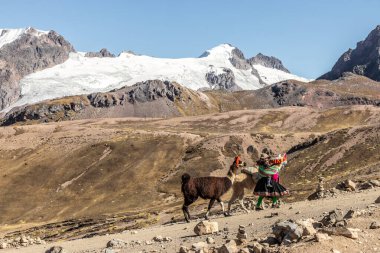 VINICUNCA, PERU - 7 Kasım 2022: Vinicunca Gökkuşağı Dağı, Peru 'ya giden lamalarıyla yerli kadın