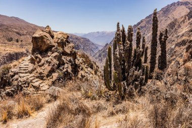 Colca Kanyonu üzerindeki Chimpa (Chimba) kalesinde basamaklar, Peru