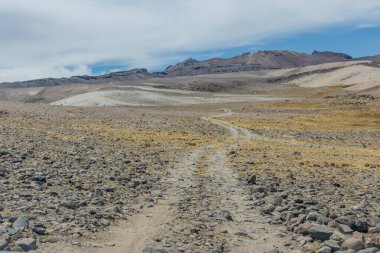Peru 'daki Mismi volkanı yakınlarında bir dağ yolu.