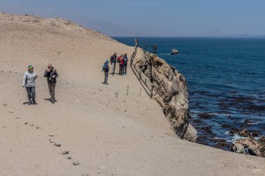 SAN FERNANDO, Peru - 28 Ekim 2022: Turistler San Fernando ulusal rezervini ziyaret etti, Peru
