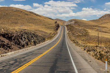 Peru 'daki Altiplano Andean Platosu' ndan geçen yol.