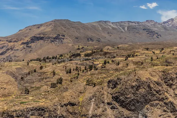Colca kanyonundaki Pinchollo köyü, Peru