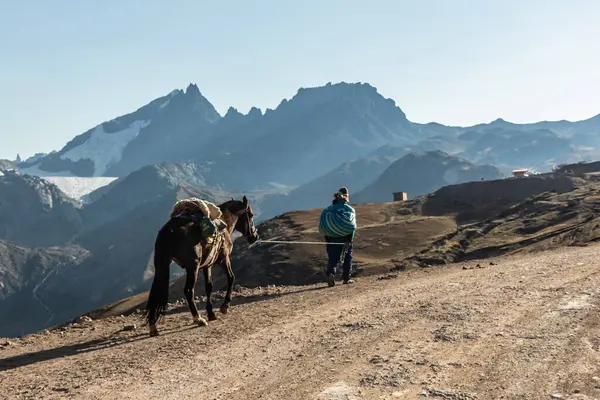Buralı bir adam atıyla Vinicunca Gökkuşağı Dağı 'na gidiyor, Peru.