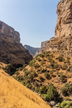 Rawandiz (ayrıca Rawanduz), Irak 'ın Kürdistan bölgesinde nehir geçidi.