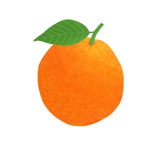 Dibujo Una Naranja Aislada Sobre Fondo Blanco Para Vegetales Frutas — Foto de Stock