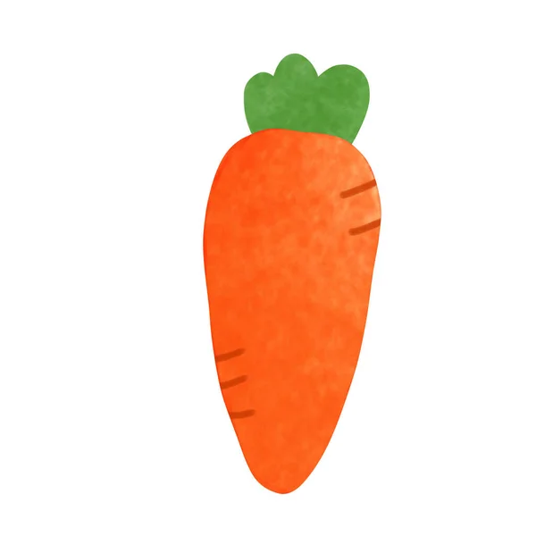 Dibujo Una Zanahoria Aislada Sobre Fondo Blanco Para Verduras Frutas — Foto de Stock
