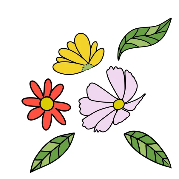 Rysunek Kwiatu Białym Tle Dekoracji Przyrody Koncepcji Wiosny — Zdjęcie stockowe