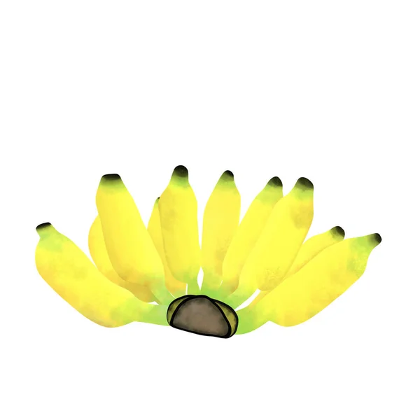 Desenho Banana Pisang Awak Isolada Fundo Branco Para Alimentação Conceito — Fotografia de Stock