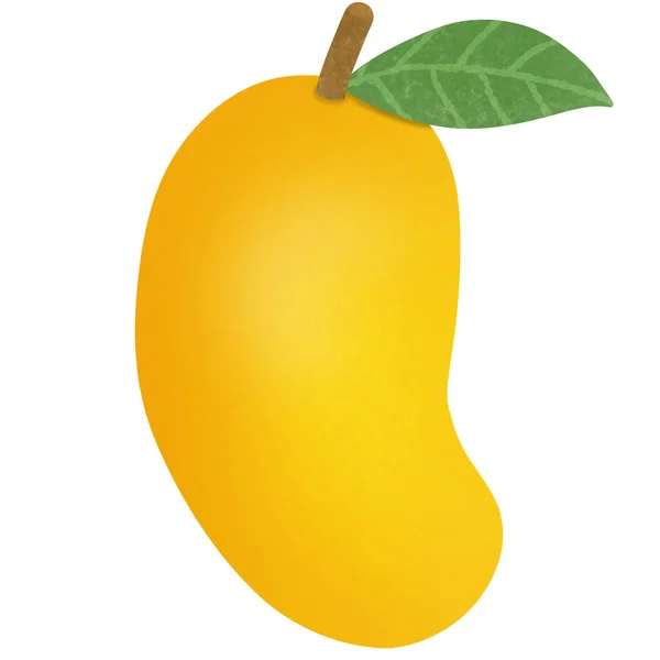 Tekening Van Mango Geïsoleerd Witte Achtergrond Voor Gebruik Als Illustratie — Stockfoto
