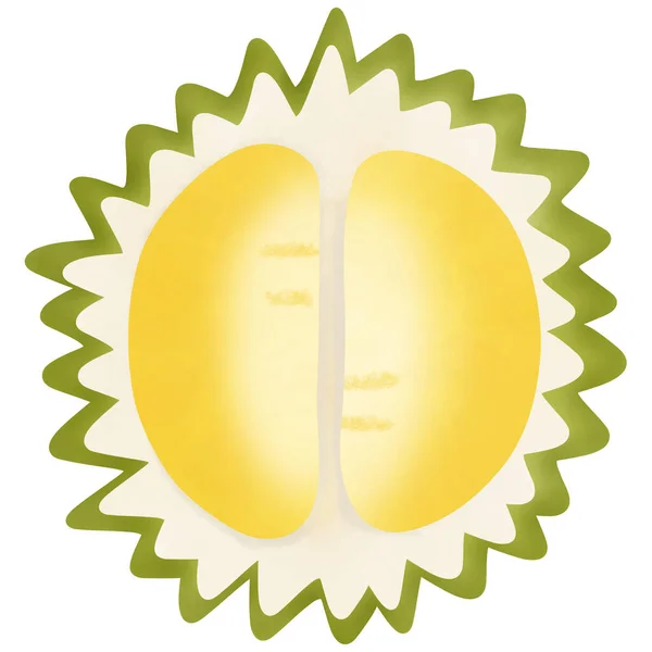 Desenho Durian Isolado Fundo Branco Para Uso Como Ilustração Comida — Fotografia de Stock