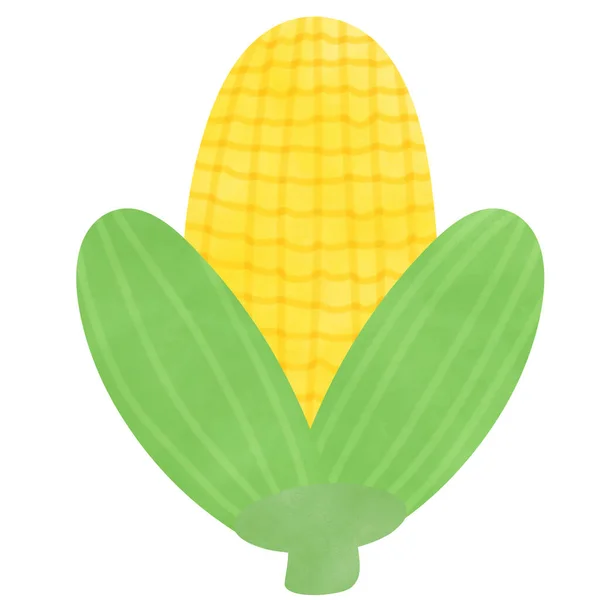 Zeichnung Von Mais Isoliert Auf Weißem Hintergrund Zur Verwendung Als — Stockfoto