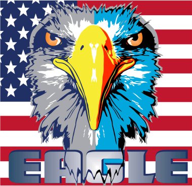 Amerikan bayrağı illüstrasyonlu kartal bayrağı