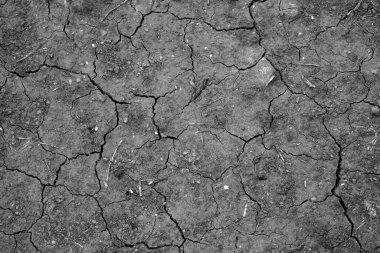 Black cracked surface top view