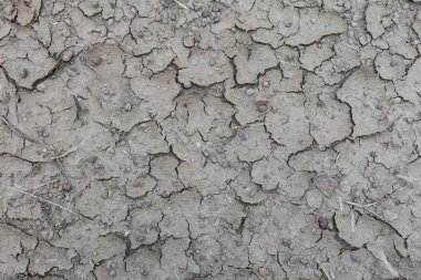 Çatlak yüzey üstü görünümü