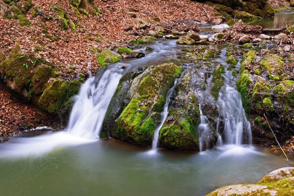 Vodopád Hluboko Lesů Apuseni Hory Krásná Rokle Borzesti Přírodní Oblasti — Stock fotografie