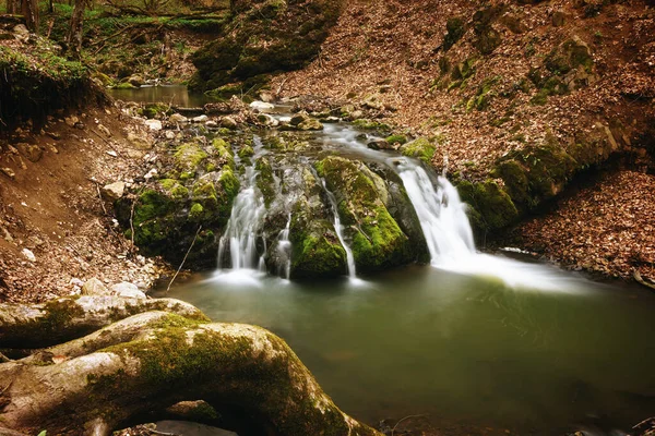 Водопад Ущелье Борзешть Красивая Природная Зона Трансильвании Румыния — стоковое фото