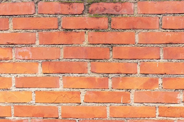红色的旧砖墙质感适合你的设计 旧立面 — 图库照片