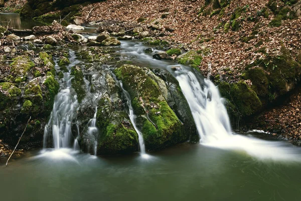 Krásný Horský Potok Přes Skály Borzesti Rokle Rumunsko — Stock fotografie