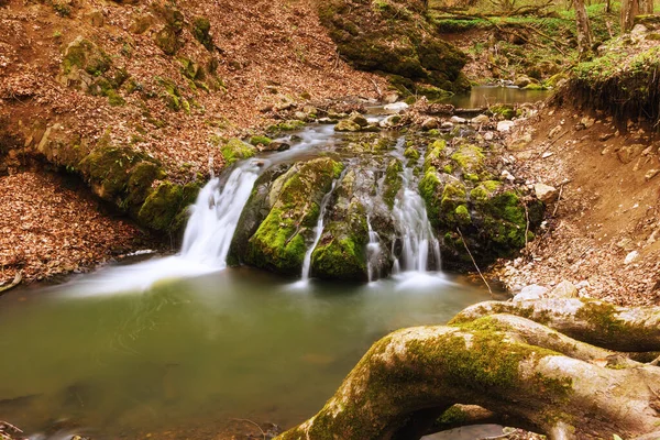 Водопад Ранней Весной Фото Длительной Экспозицией Трансильвании Ущельях Борзешть Горах — стоковое фото